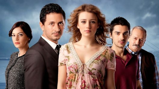 مسلسل الصاعقة التي سقطت على المنزل الحلقة 22 مترجم – الاخيرة