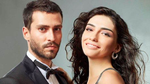 مسلسل اسرار الحياة الحلقة 10 مترجم