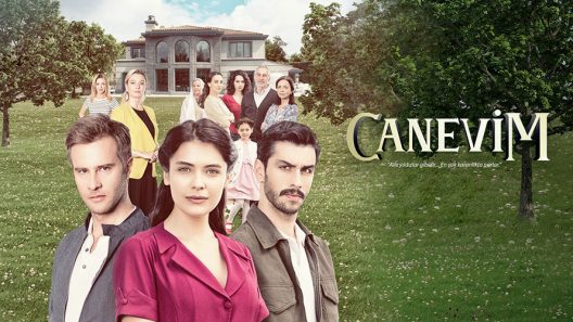 مسلسل قلبي الحلقة 13 مترجم